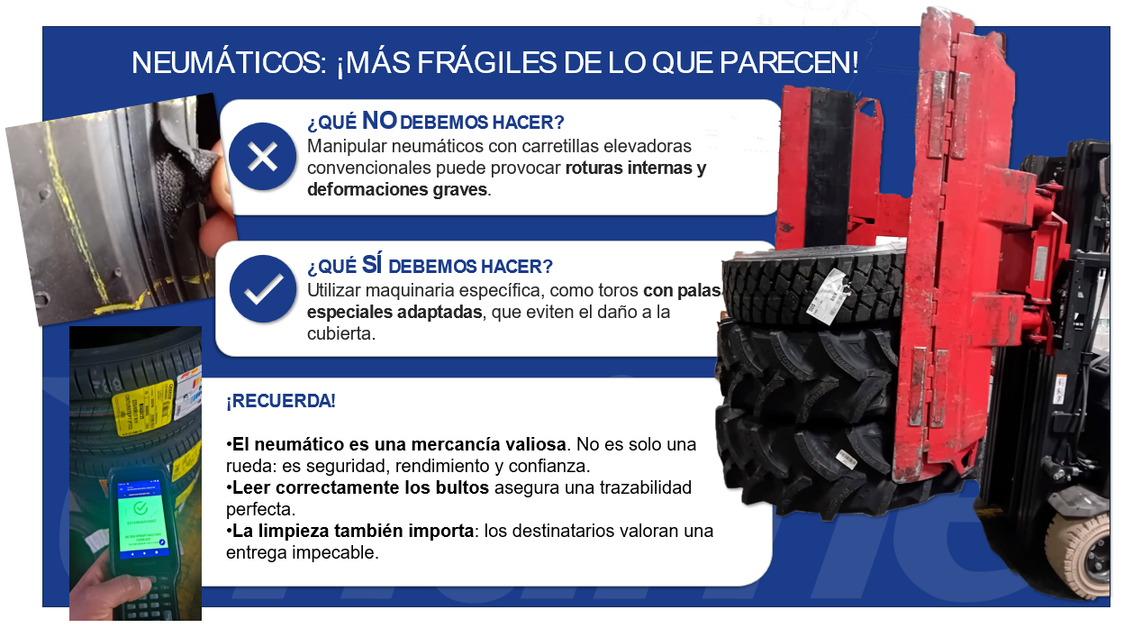 NEUMATICOS.png